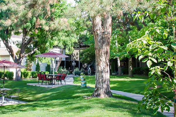 Hotel Courtyard